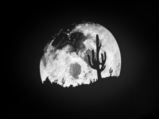 Spooky Halloween Projection Gobo Lighting Ideas