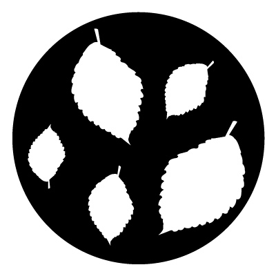 5 white rounded jagged leaves on a black circle gobo.