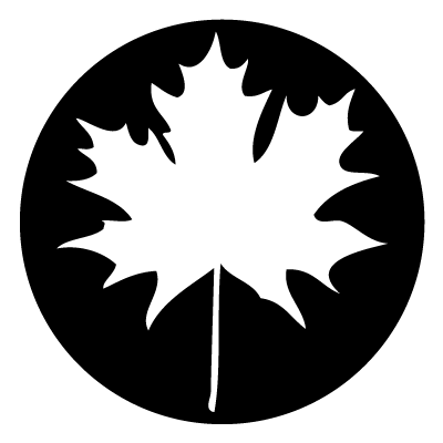 White silhouette of a maple leaf on a black circle gobo.