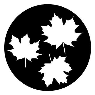 White silhouettes of 3 maple leaves on a black circle gobo.