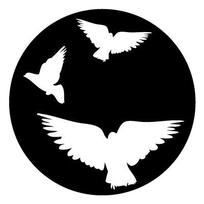 White silhouette of 3 flying birds on a black circle gobo.