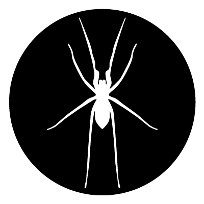 White silhouette of a spider on a black circle gobo.