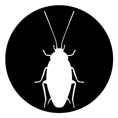 White silhouette of a beetle on a black circle gobo.