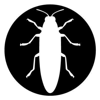 White silhouette of a long beetle on a black circle gobo.
