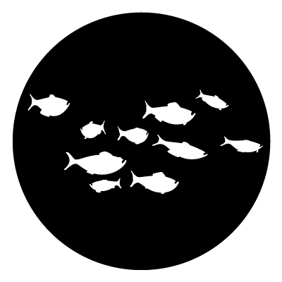 White silhouettes of a shoal of fish on a black circle gobo.