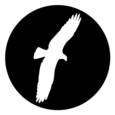 White silhouette of a bird of prey on a black circle gobo.