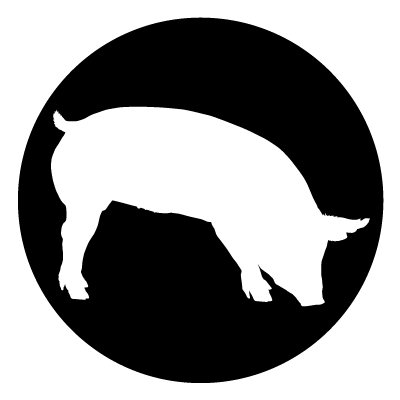 White silhouette of a pig on a black circle gobo.