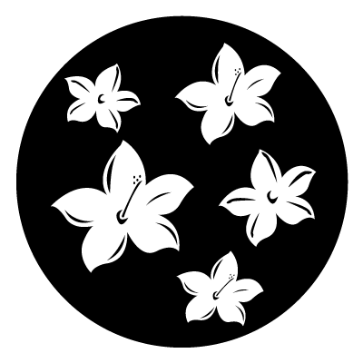 White simplified hibiscus flower silhouettes on a black circle gobo.