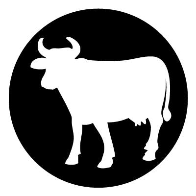 White silhouette of a cow on a black circle gobo.