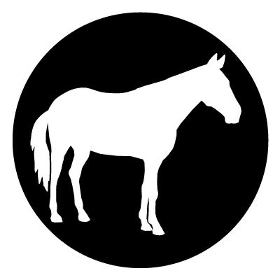 White silhouette of a horse on a black circle gobo.