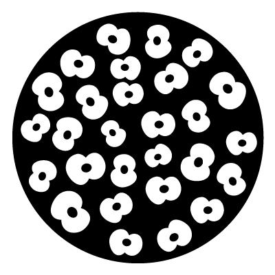 White silhouettes of poppies in different sizes and orientations on a black circle gobo.