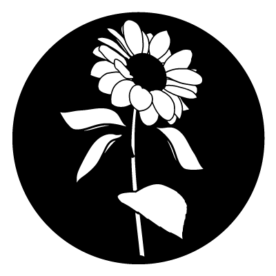 White silhouette of a sunflower on a black circle gobo.