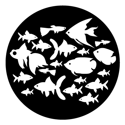 White silhouette of multiple fish on a black circle gobo.