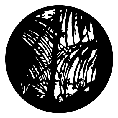 Large white jungle leaves silhouette on a black background.