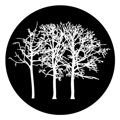 White silhouette of 3 trees with no leaves on a black circle gobo.